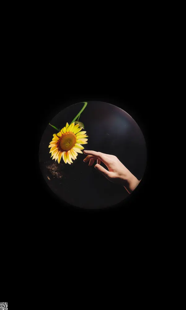 downfall - disconnectlondon